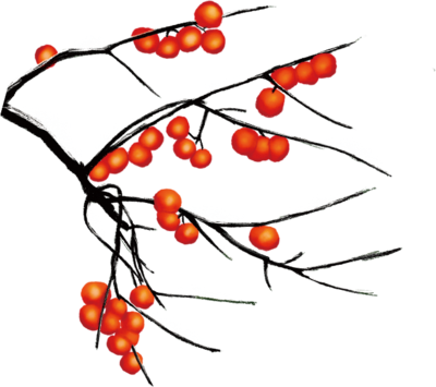 大雪時節(jié)紅柿香