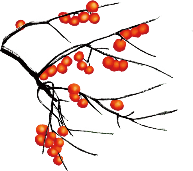 大雪節(jié)氣紅柿子海報印章制作指南